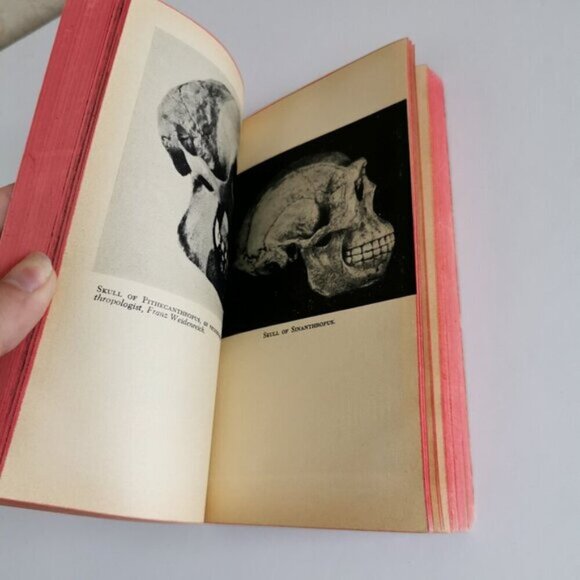 1964 Intelligent Man's Guide to the Biological Sciences Paperback Isaac Asimov - Picture 9 of 9